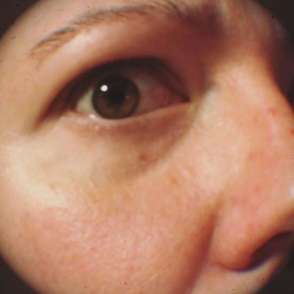 Meet your Posher, Dana